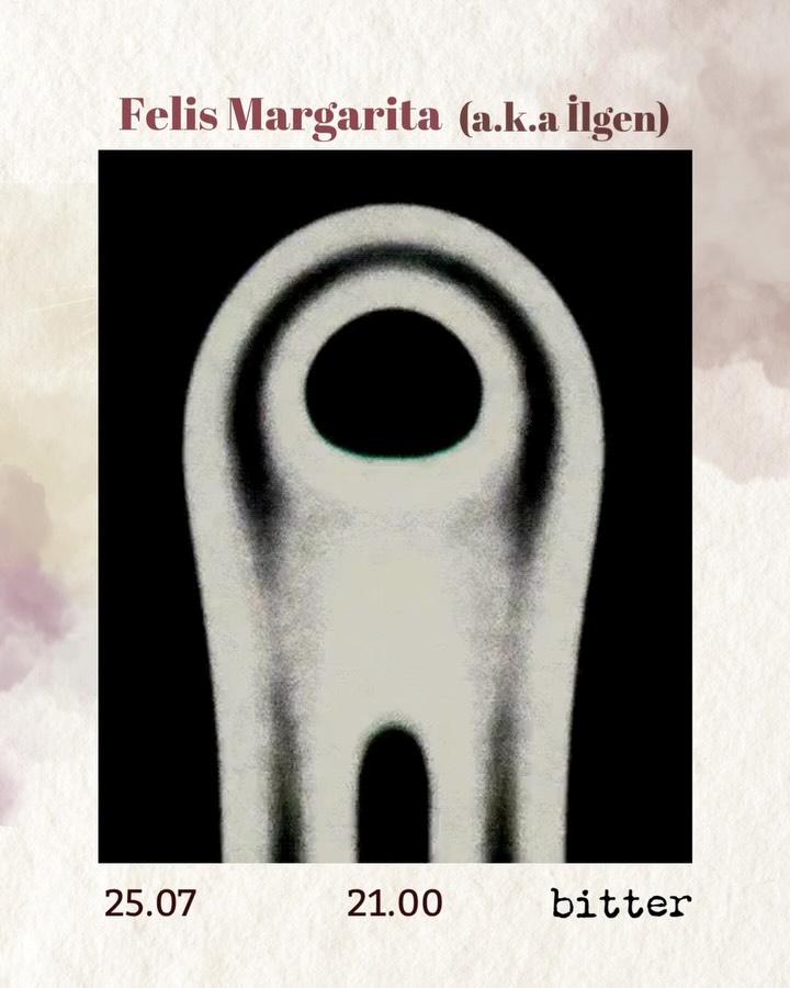 Felis Margarita (aka İlgen)