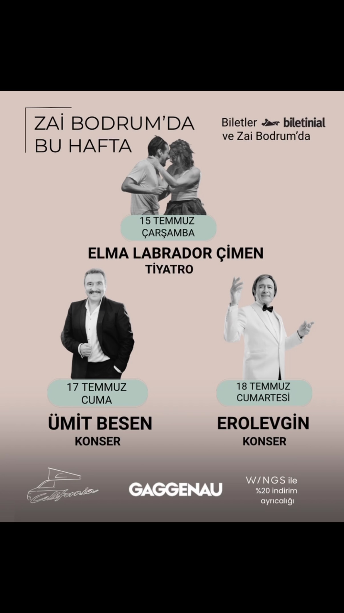 Erol Evgin — Zai Bodrum