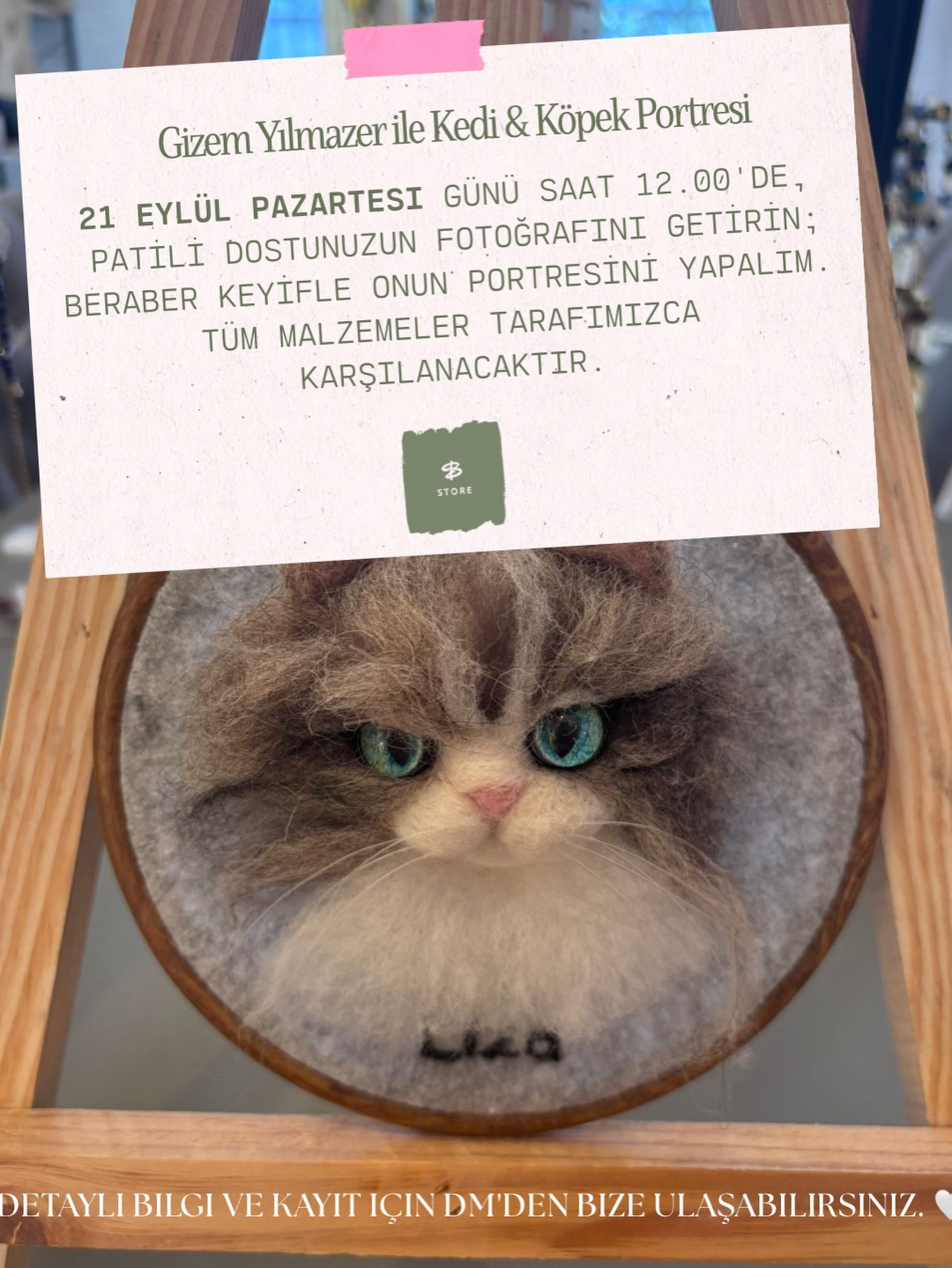 Gizem Yılmazer - Cat & Dog Portrait