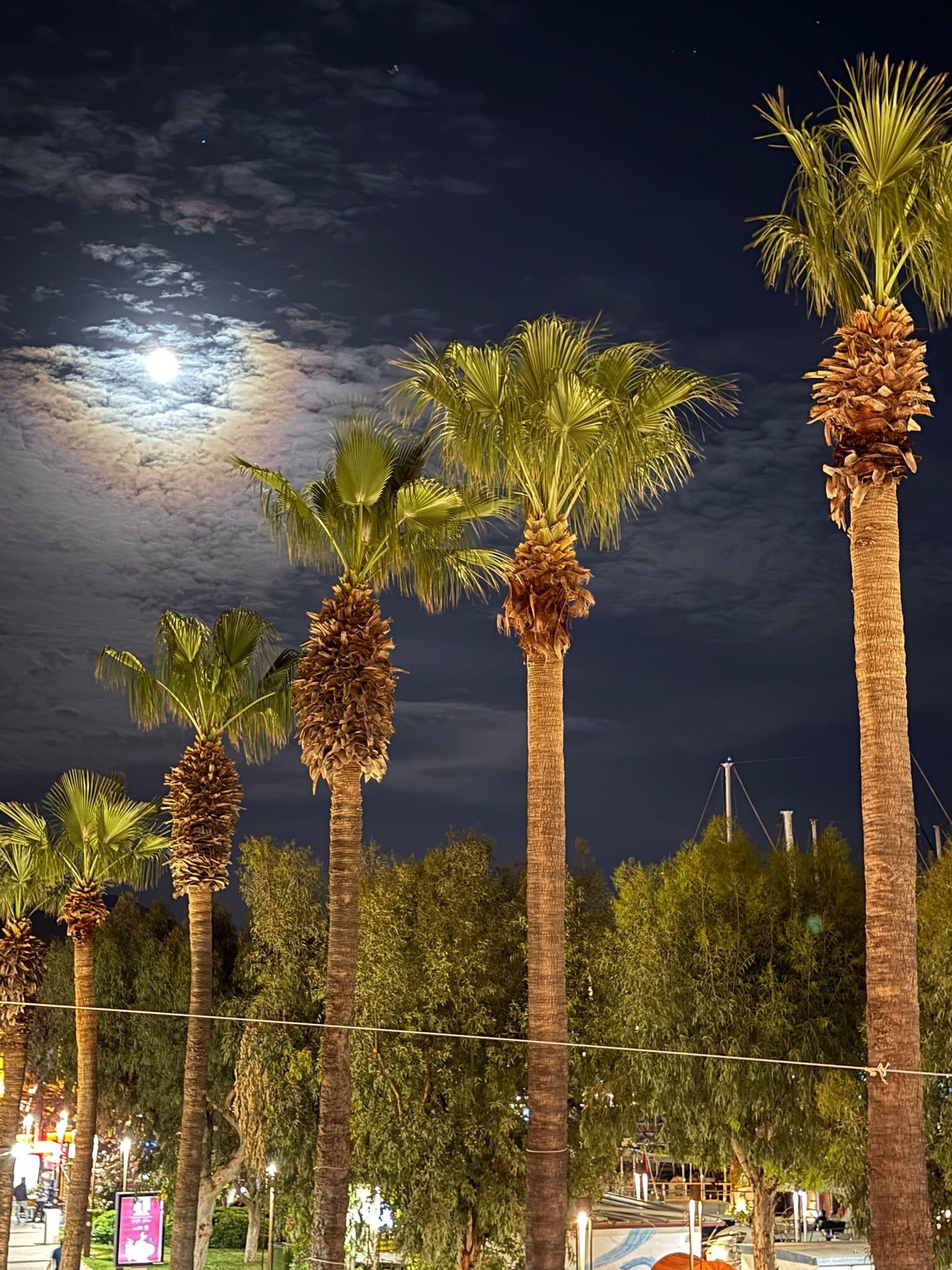 Strawberry Moon — Full Moon Gecesi Etkinlik afişi