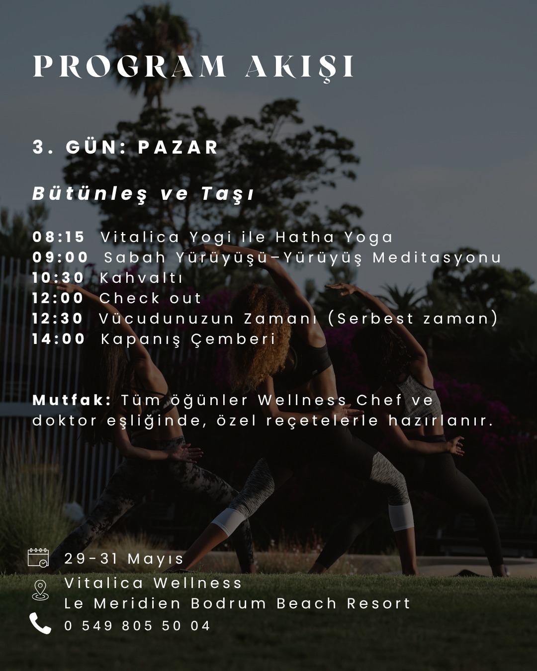 Vitalica Wellness - Bütünleş ve Taşı Etkinlik afişi