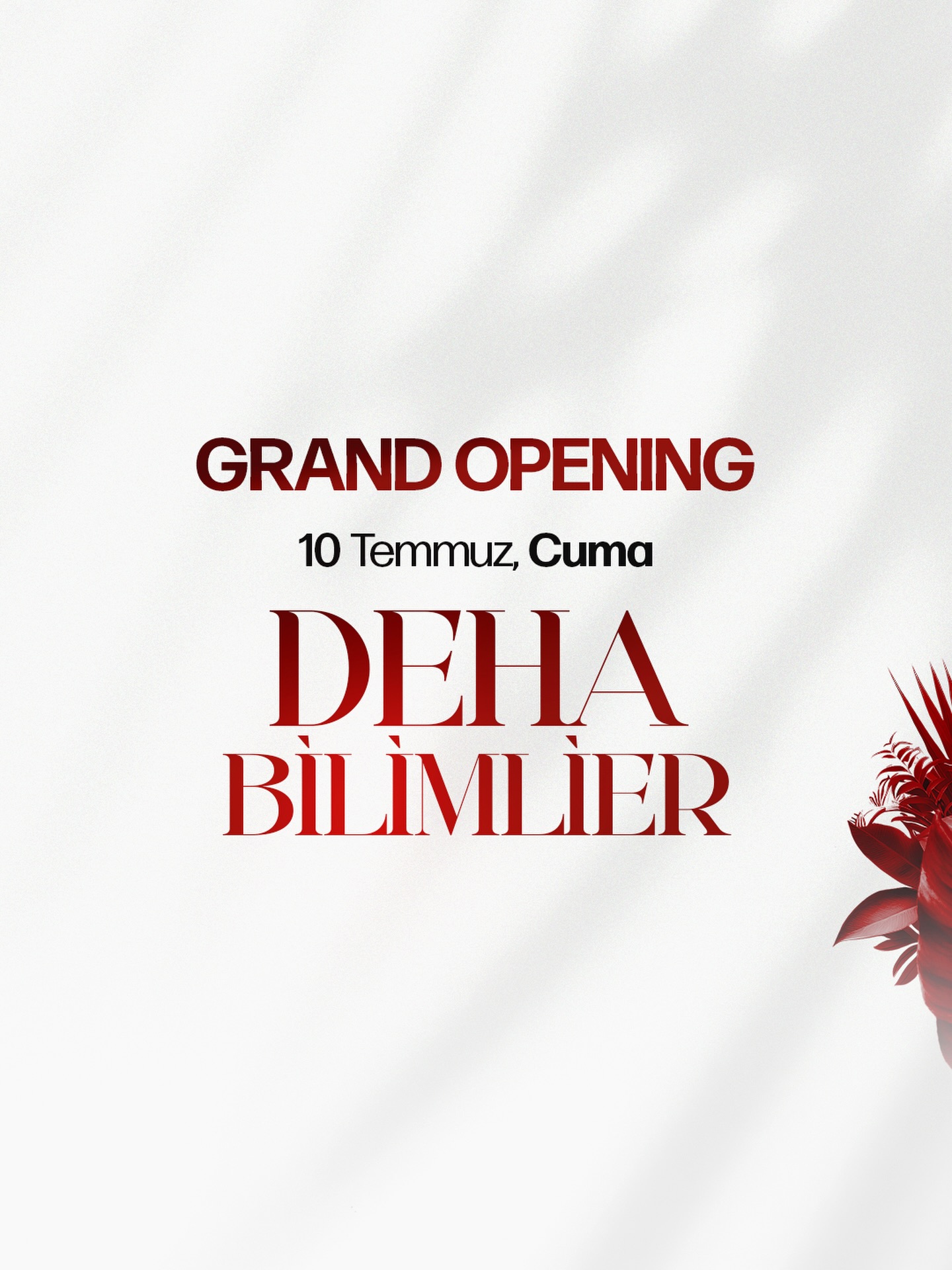 DEHA - Grand Opening Etkinlik afişi