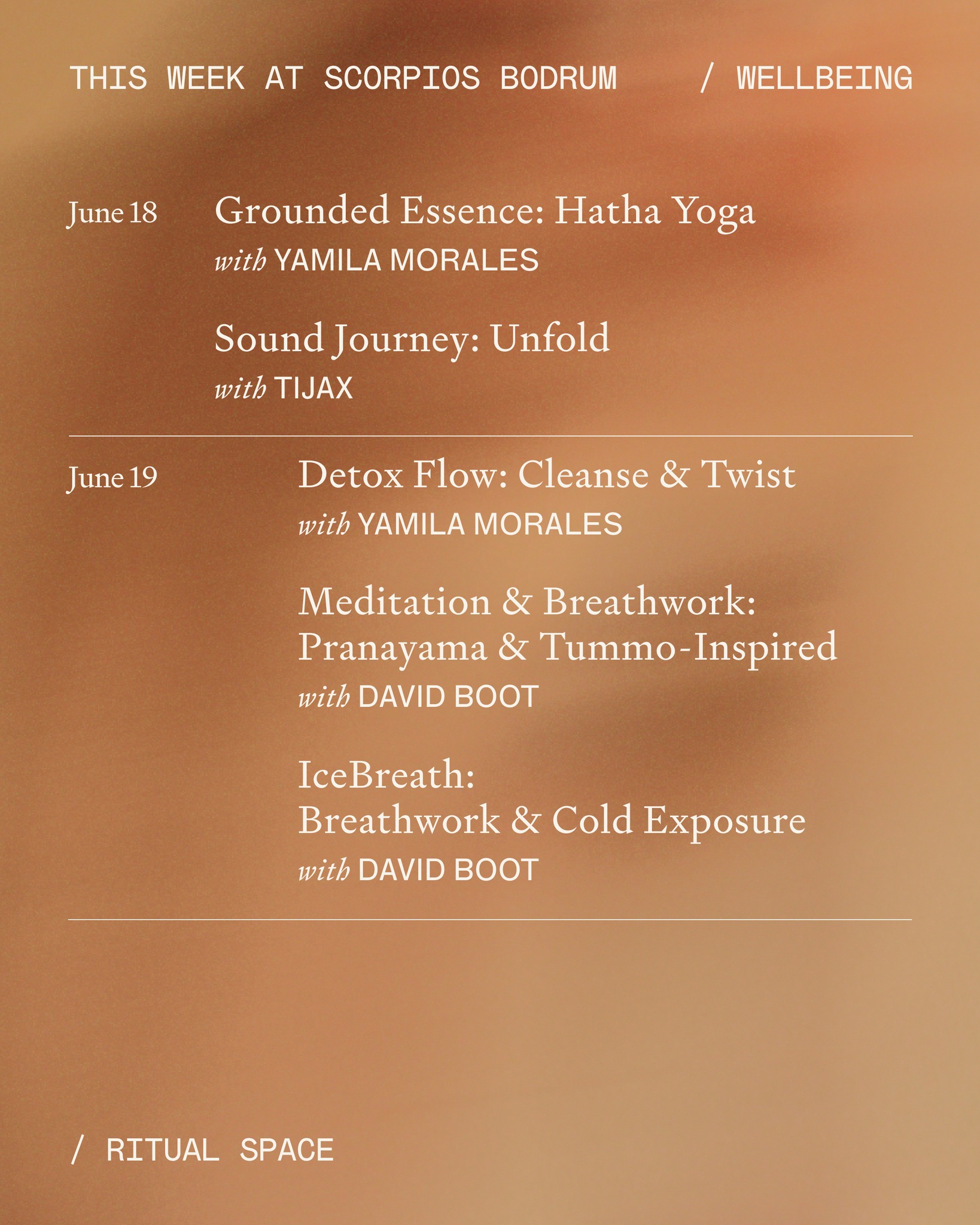 Meditation & Breathwork — David Boot Etkinlik afişi