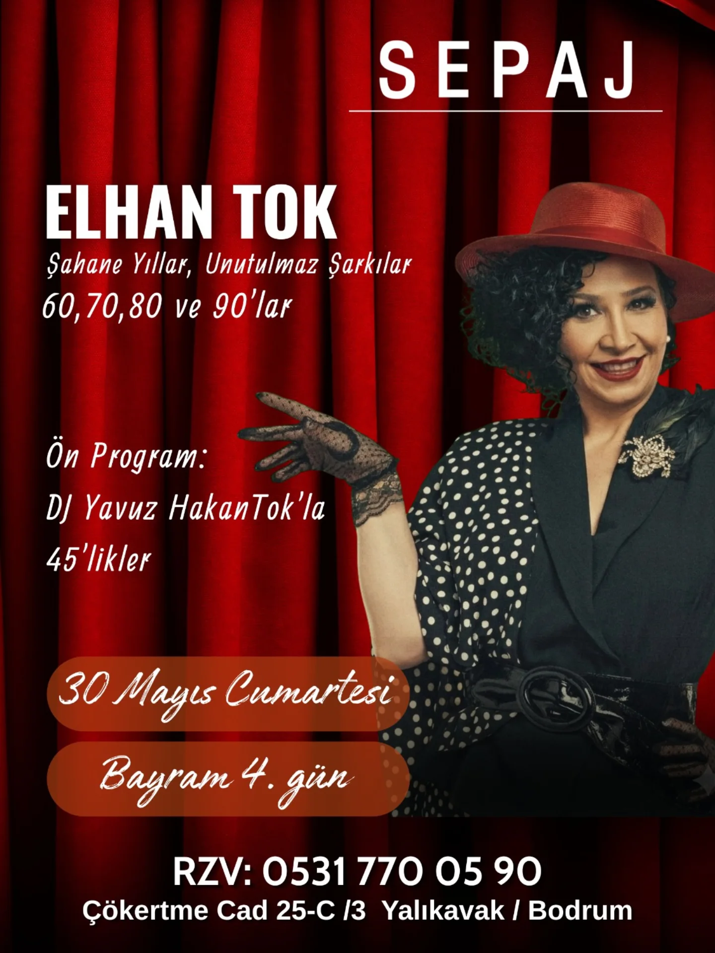 Elhan Tok — Şahane Yıllar Etkinlik afişi