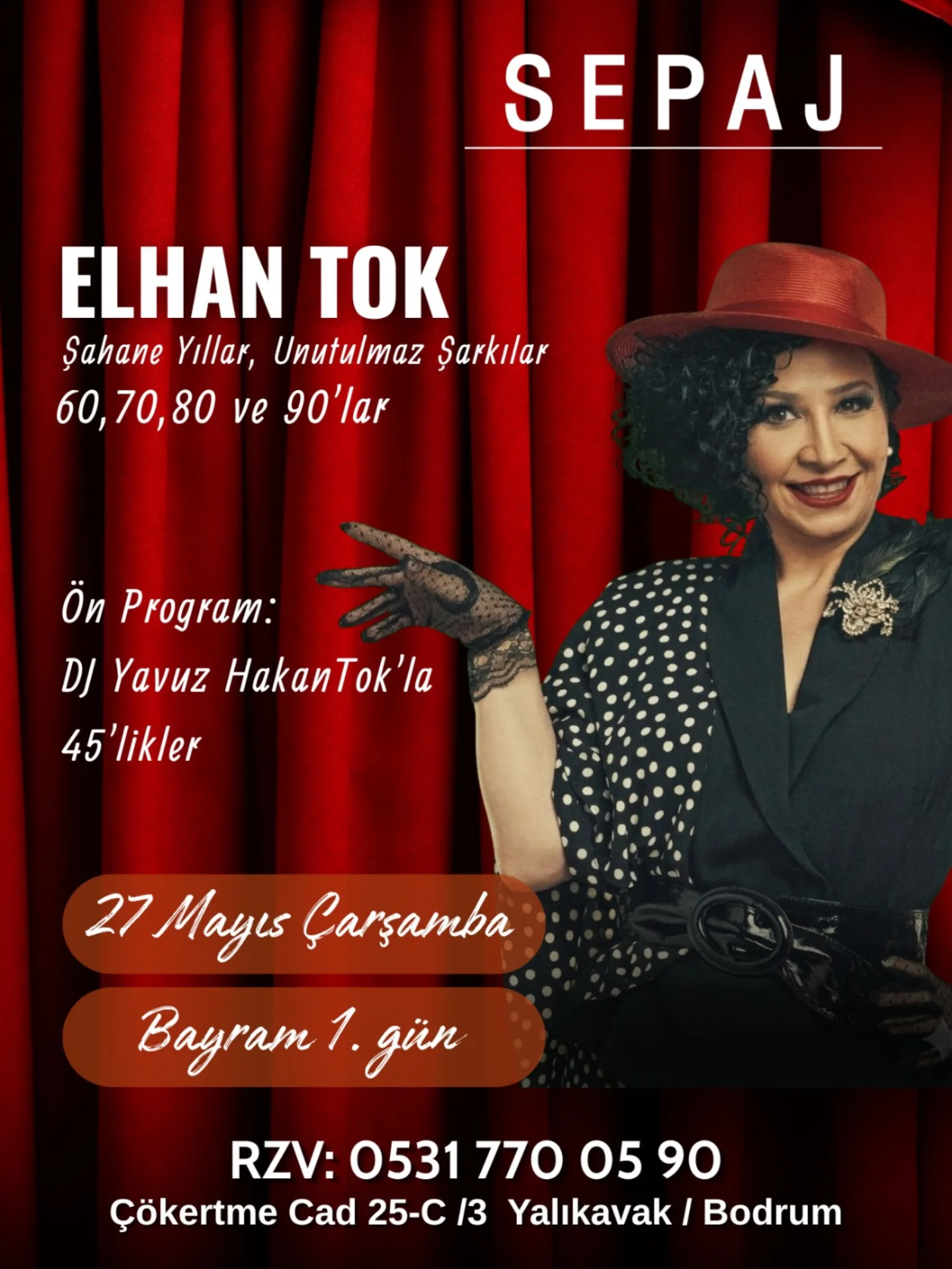 Elhan Tok — Şahane Yıllar Etkinlik afişi