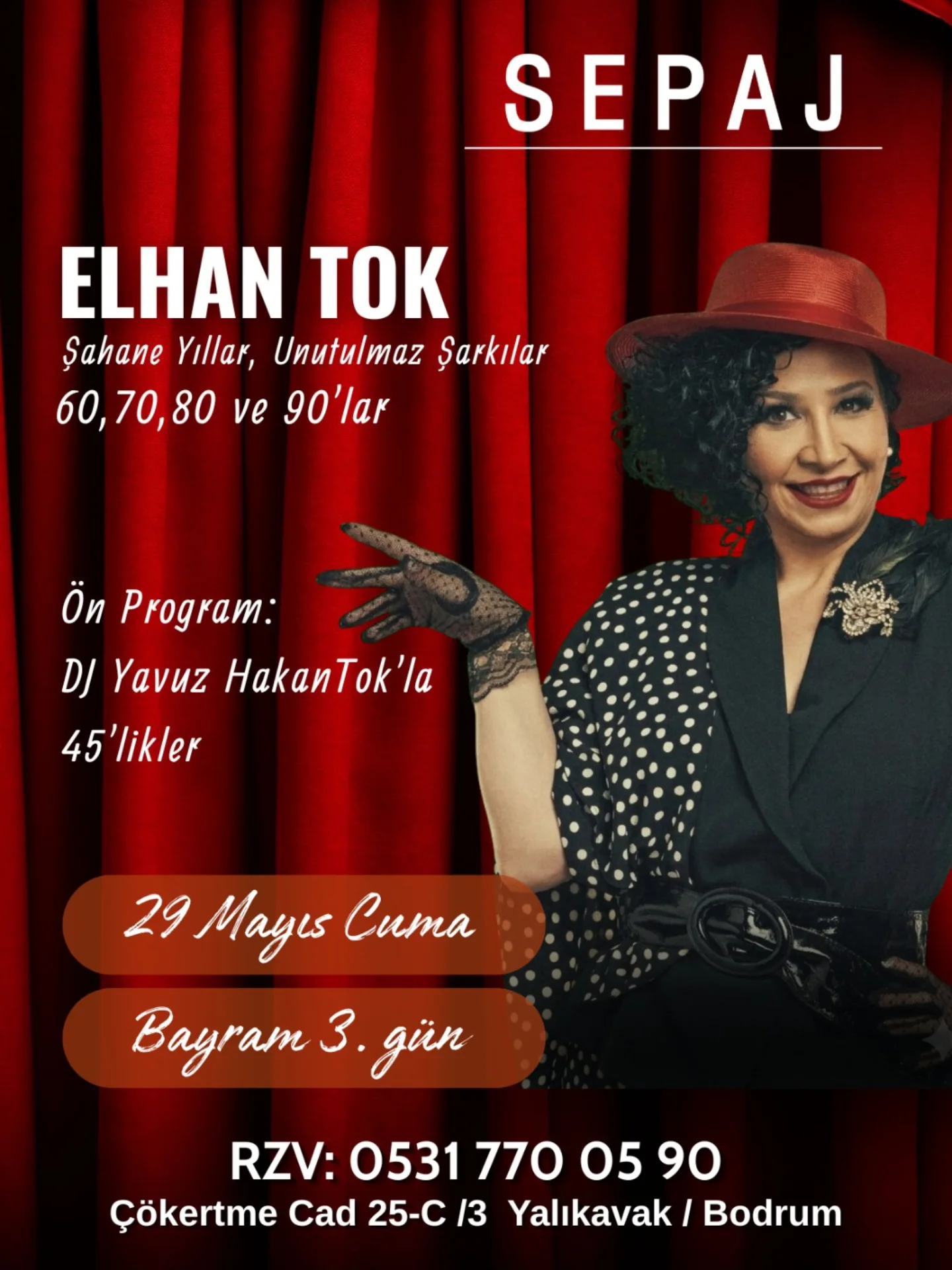 Elhan Tok — Şahane Yıllar Etkinlik afişi