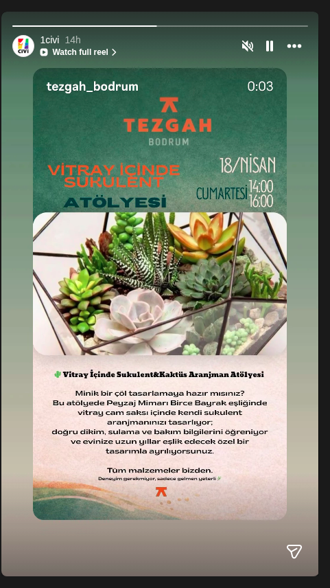 Vitray İçinde Sukulent Atölyesi Etkinlik afişi