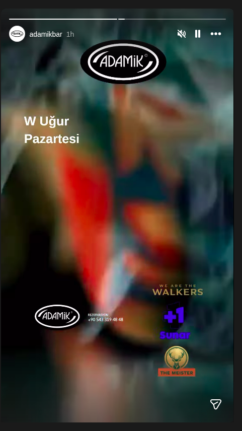 N Uğur Etkinlik afişi