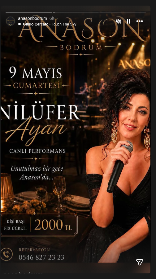 Nilüfer Ayan Etkinlik afişi