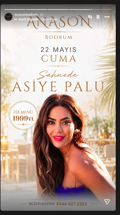 Asiye Palu Konseri Etkinlik afişi