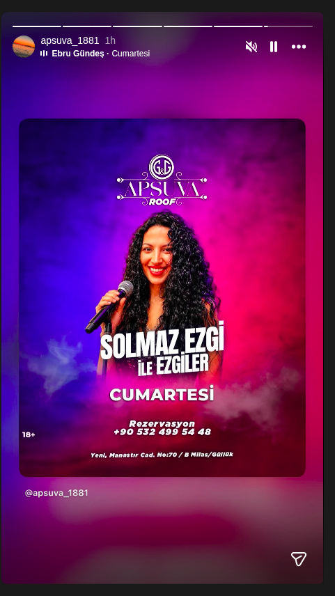 Solmaz Ezgi ile Ezgiler Etkinlik afişi