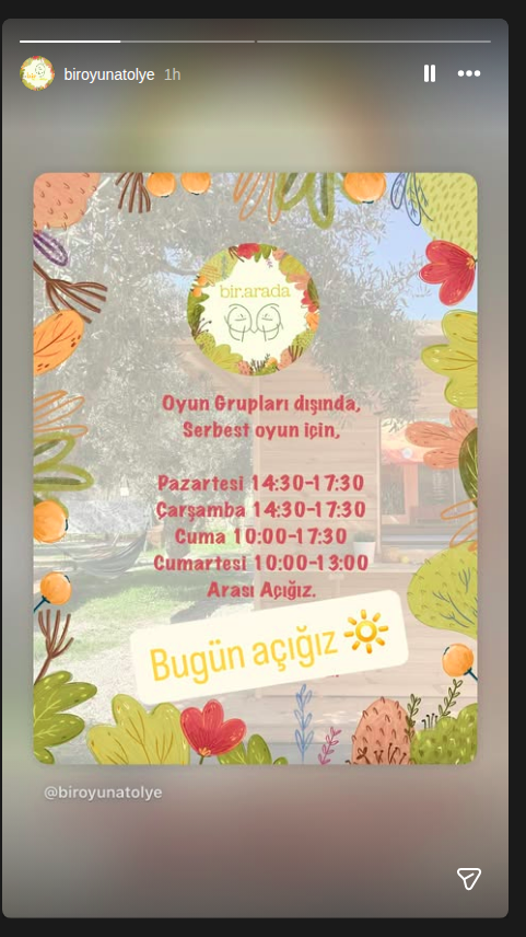 Serbest Oyun Etkinlik afişi