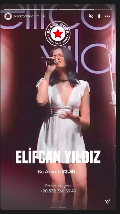 Elifcan Yıldız Etkinlik afişi