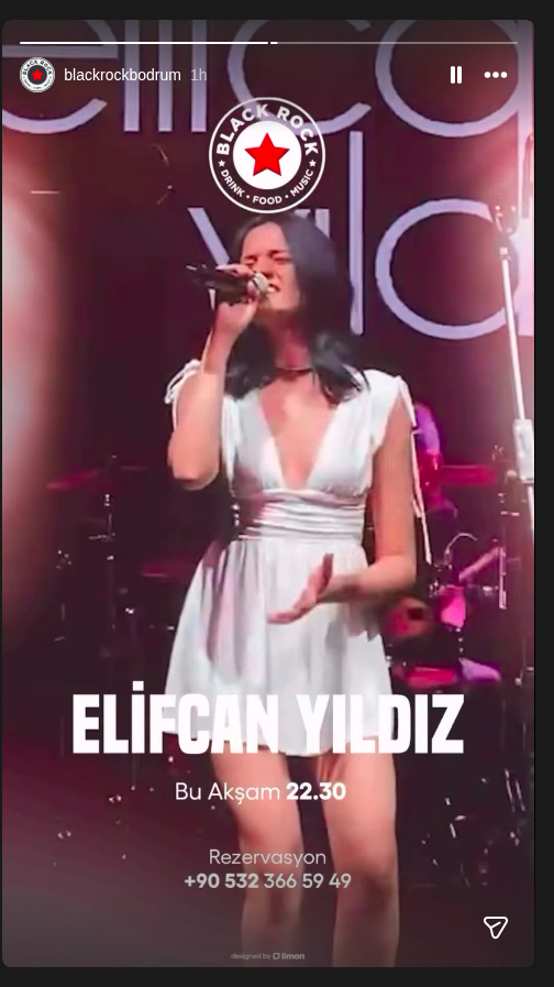 Elifçin Yıldız Etkinlik afişi