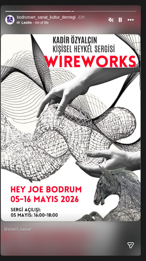 Kadir Özyalçın — Wireworks (Sergi Açılışı) Etkinlik afişi