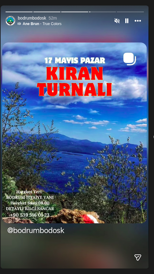 Kıran Turnalı Etkinlik afişi