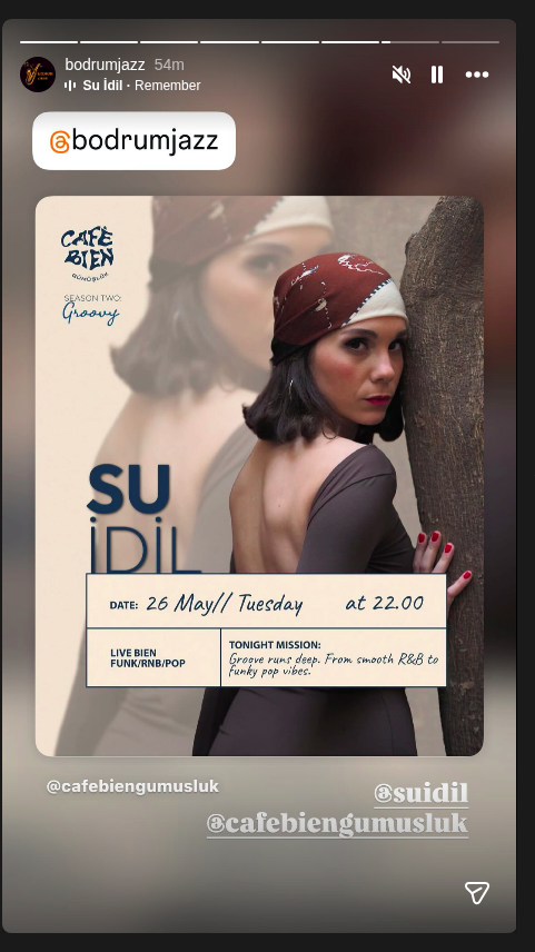 Su İdil — Funk / R&B / Pop Etkinlik afişi
