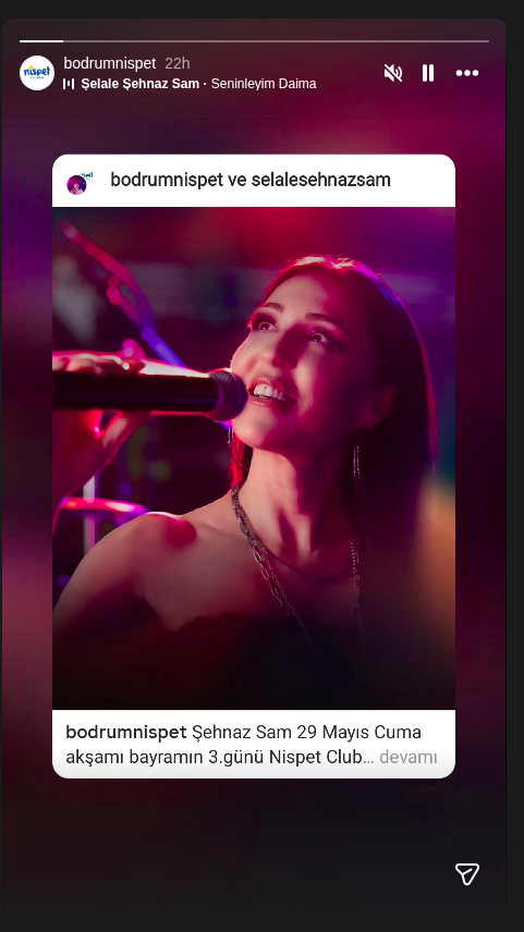Şehnaz Sam - Canlı Müzik Etkinlik afişi