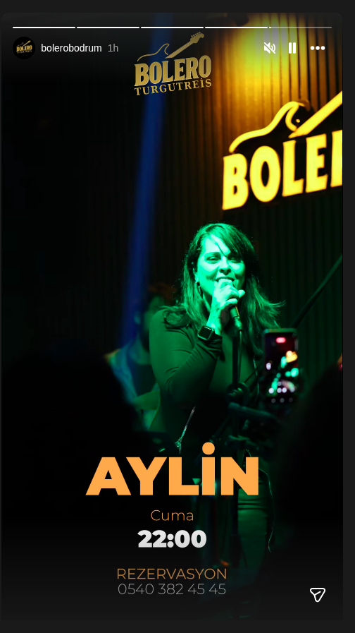 Aylin Etkinlik afişi