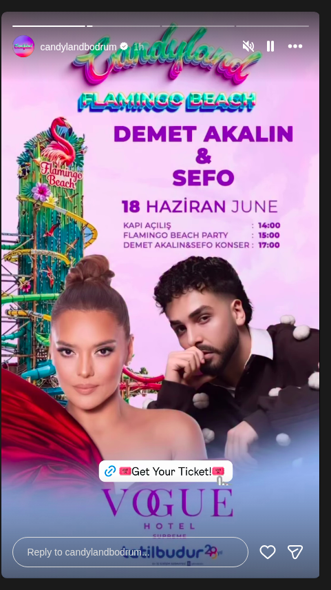 Demet Akalın & Sefo Konseri Etkinlik afişi