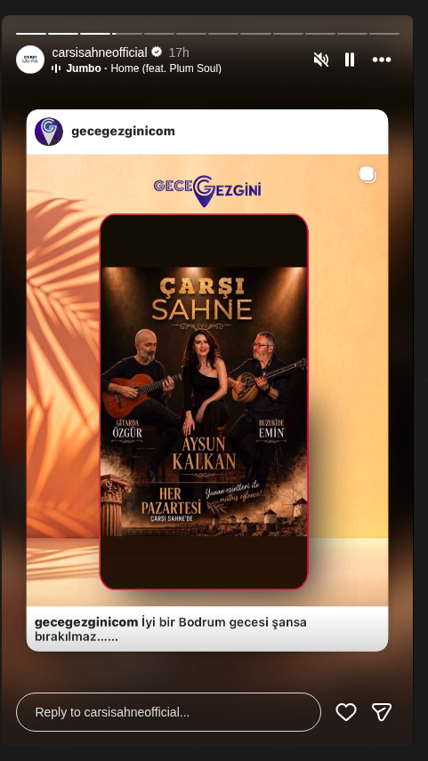 Aysun Kalkan - Sırtaki Gecesi Etkinlik afişi