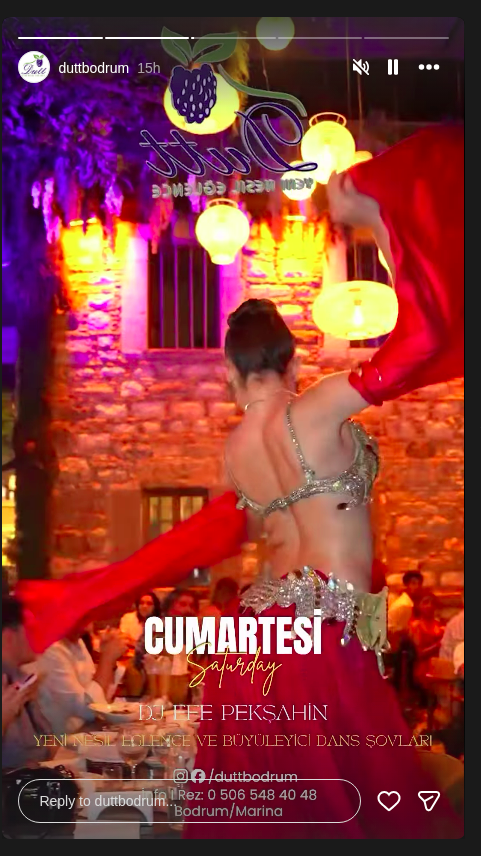 E Pekşahin — DJ Set ve Dans Gösterisi Etkinlik afişi