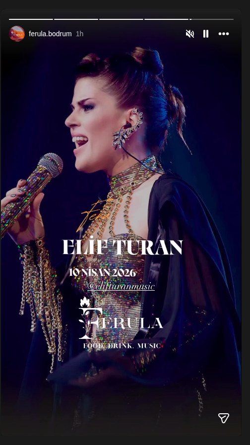 Elif Turan Etkinlik afişi