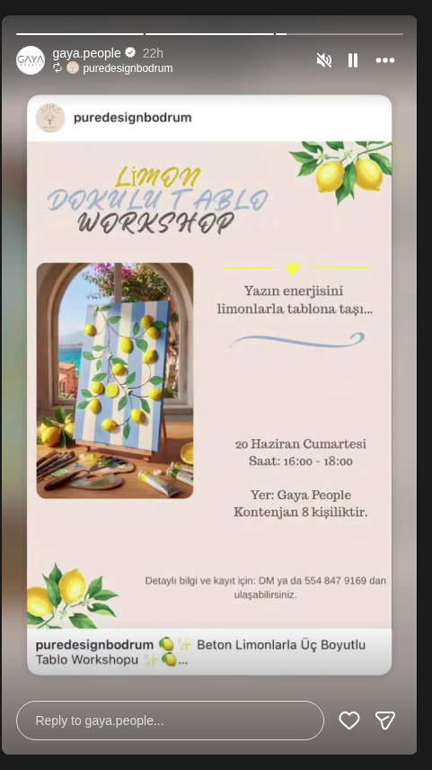 Limon Dokulu 3D Tablo Workshopu — Gaya People