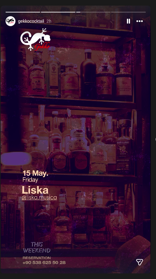 Liska Etkinlik afişi