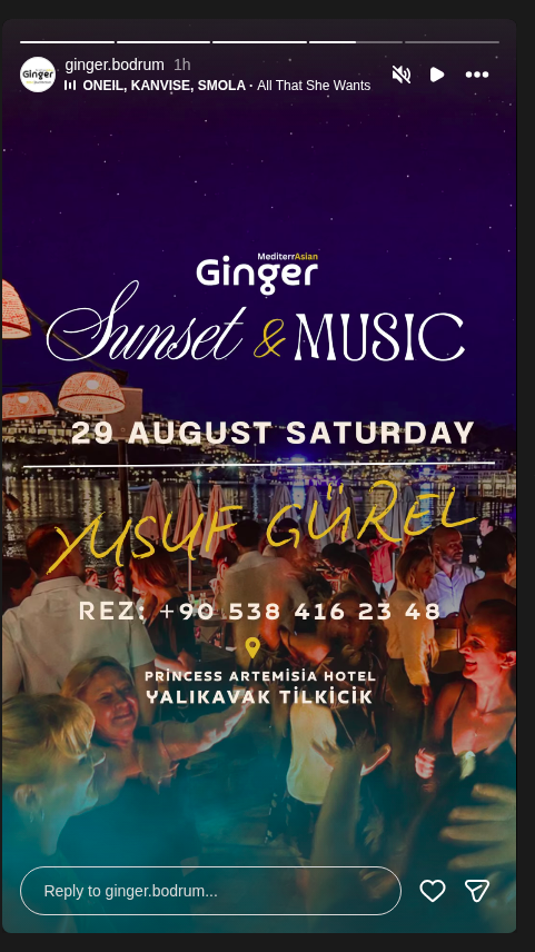 Yusuf Gürel - Sunset & Music