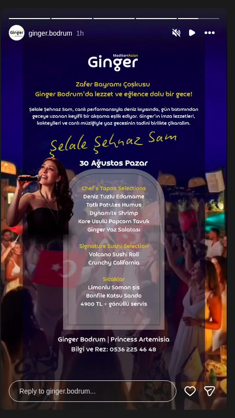 Zafer Bayramı Coşkusu — Şelale Şehnaz Sam