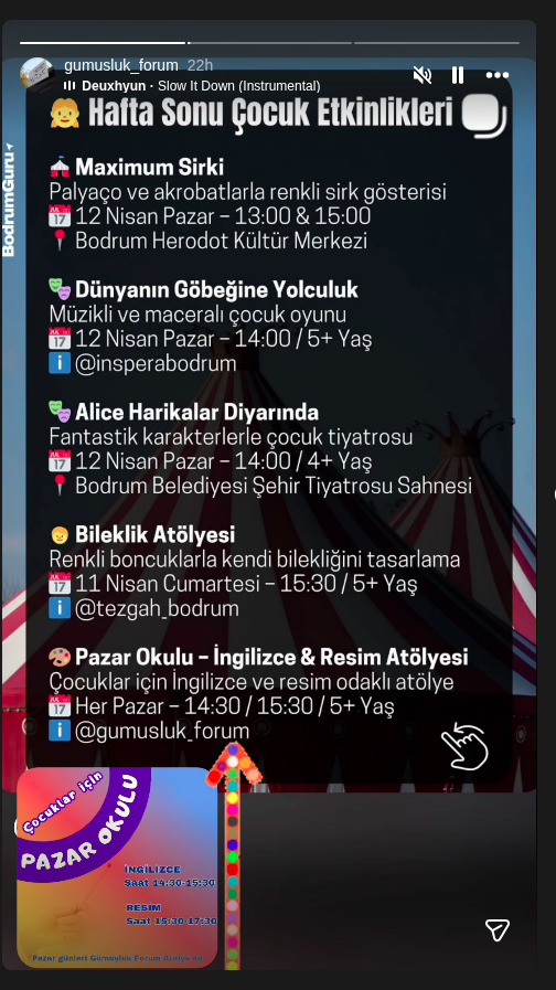 Maximum Sirki Etkinlik afişi
