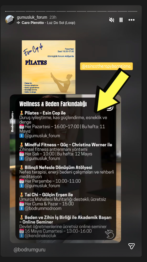 Gülçin Erşen ile Tai Chi Etkinlik afişi