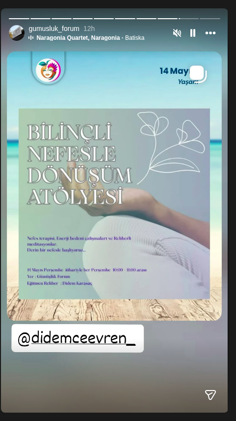 Bilinçli Nefesle Dönüşüm Atölyesi — Didem Ceevren Etkinlik afişi