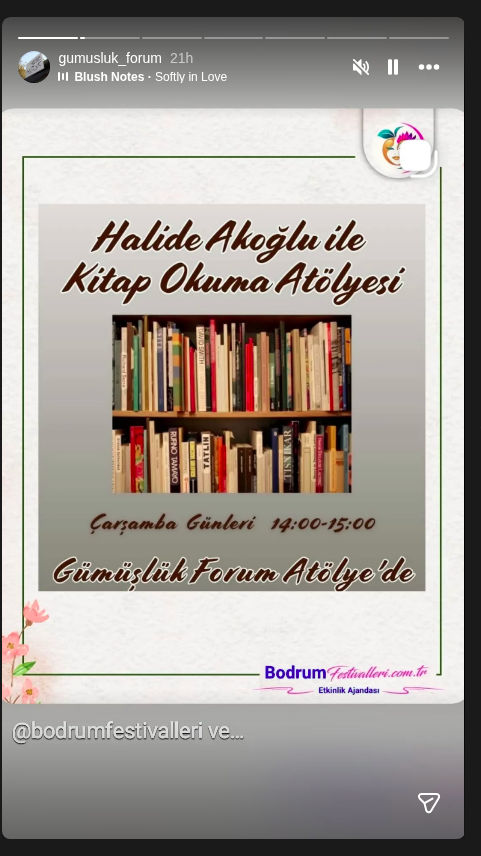 Halide Akoğlu ile Kitap Okuma Atölyesi Etkinlik afişi