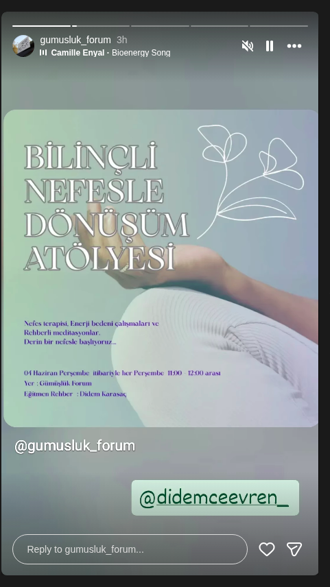 Didem Karasacak - Bilinçli Nefesle Dönüşüm Atölyesi Etkinlik afişi