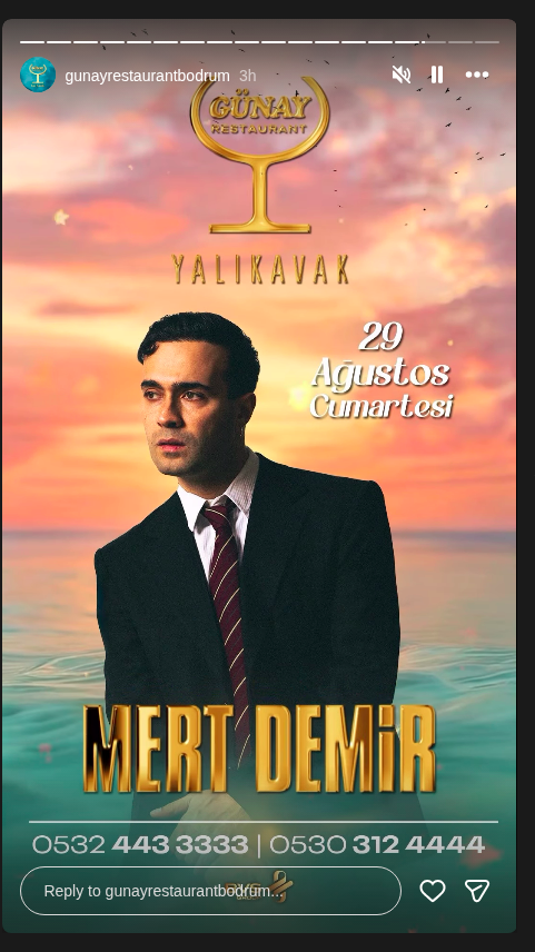 Mert Demir