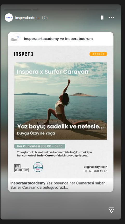 Duygu Özay — Mindful Yin & Yang Yoga Event poster