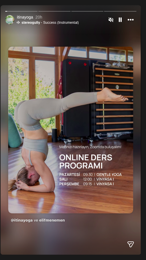 Vinyasa I Etkinlik afişi