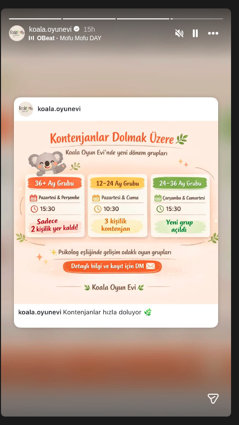 24-36 Ay Grubu Etkinlik afişi