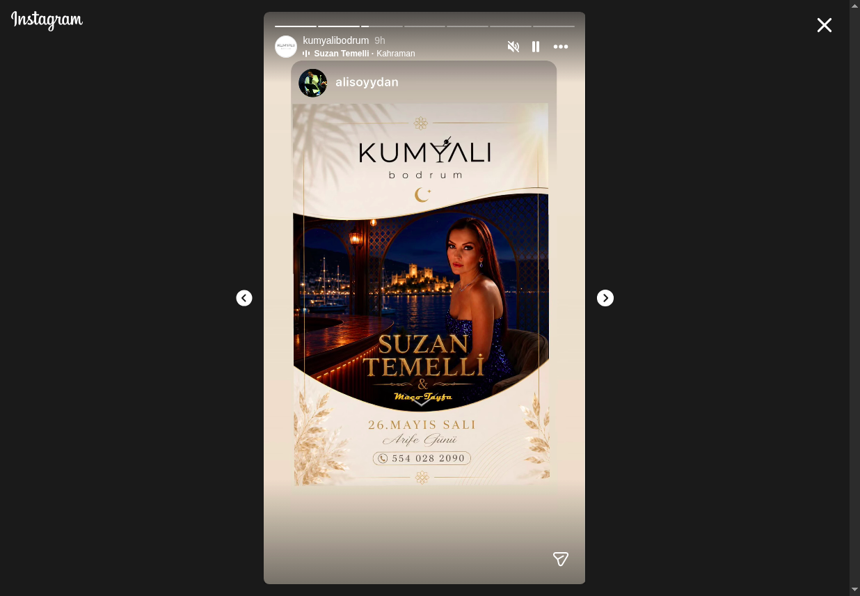 Suzan Temelli Etkinlik afişi