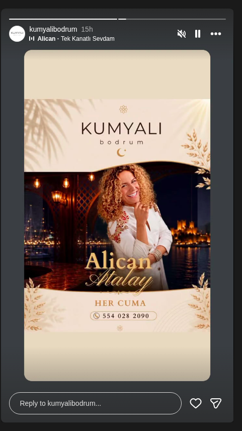 Alican Atalay Etkinlik afişi