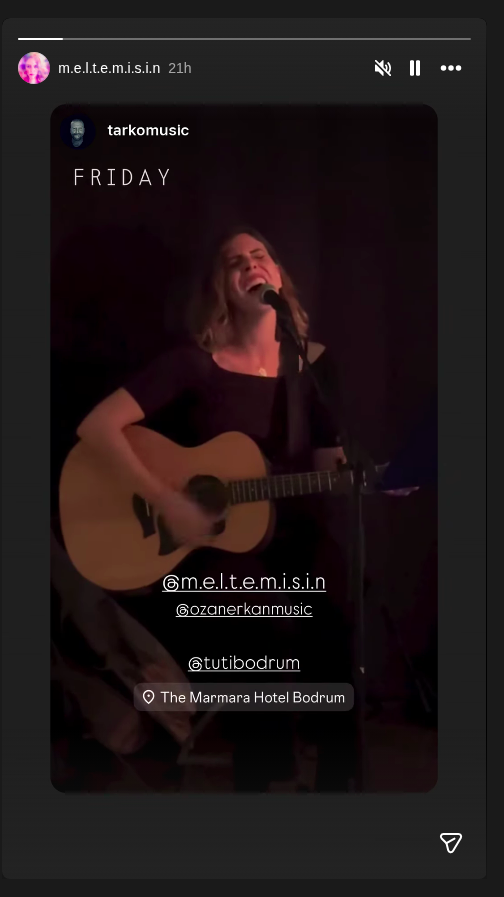 Meltem İsin Etkinlik afişi