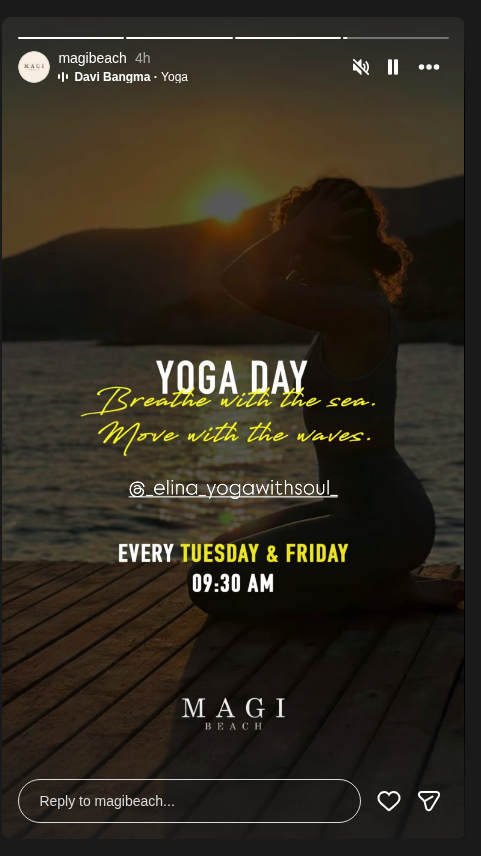 Elina Yogawithsoul — Yoga Day Etkinlik afişi