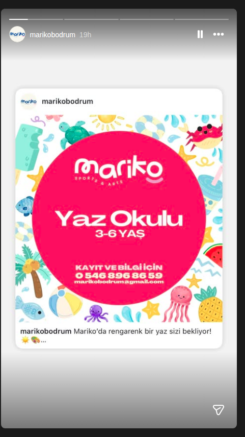 Yaz Okulu Etkinlik afişi