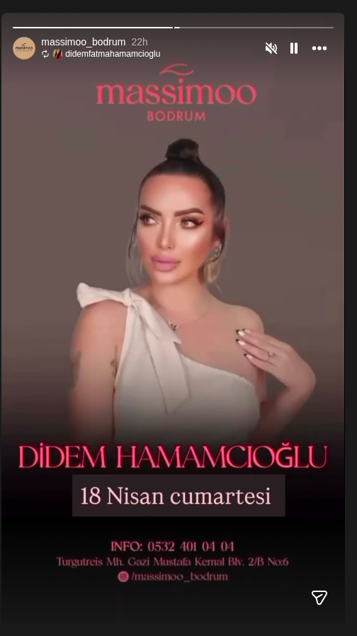 Didem Hamamcıoğlu Etkinlik afişi