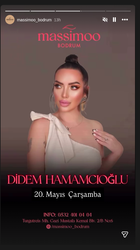 Didem Hamamcıoğlu Konser Etkinlik afişi