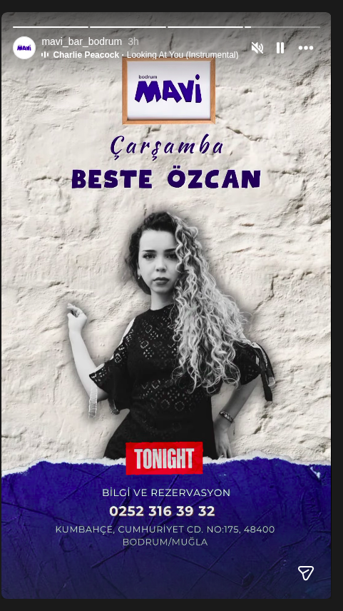 Beste Özcan Etkinlik afişi