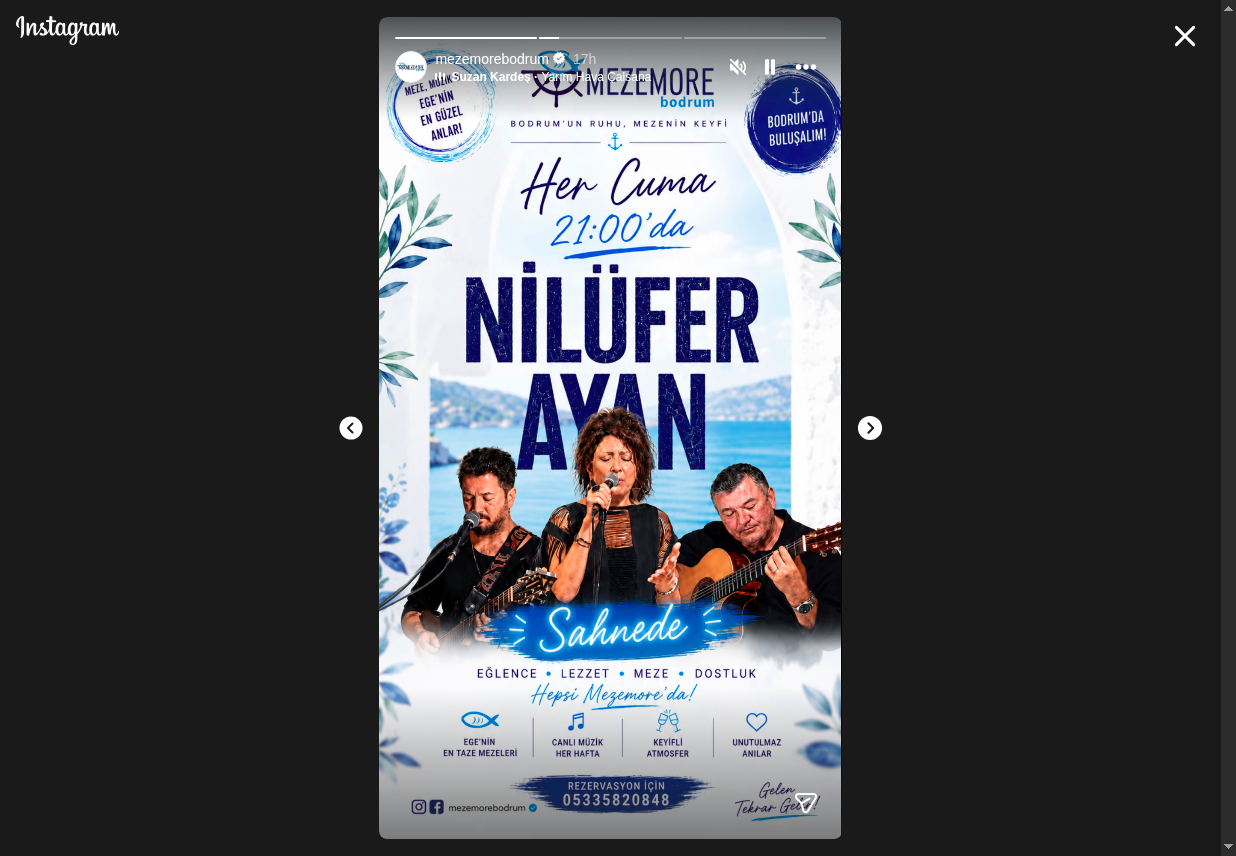 Nilüfer Ayan Etkinlik afişi