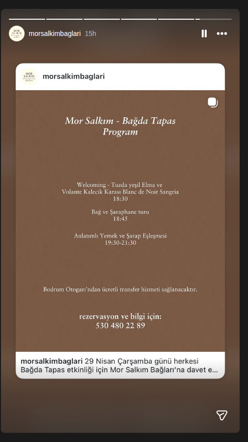 Mor Salkım - Bağda Tapas Etkinlik afişi